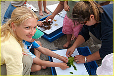 Cornwall Tourism Magazine - The National Lobster Hatchery